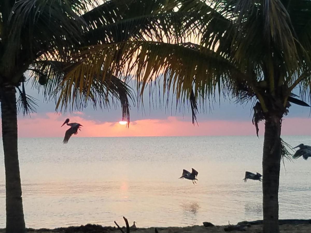 Pal'S On The Beach - Dangriga, Belize Kültér fotó