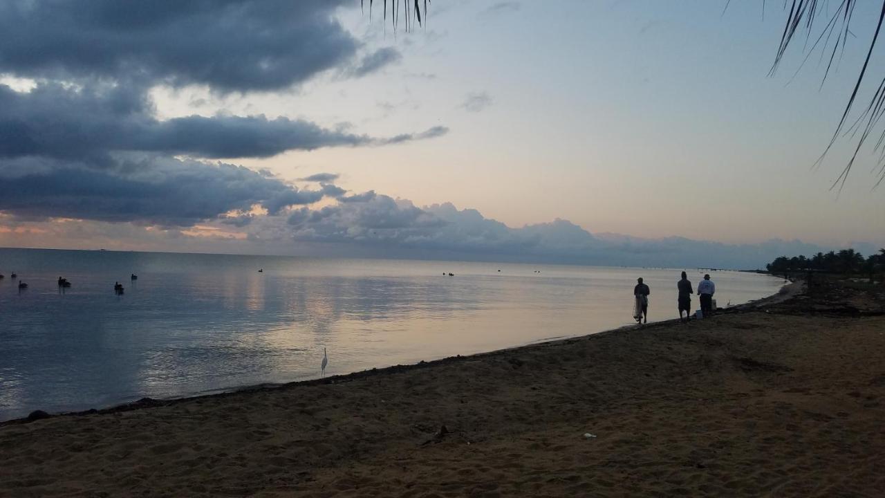 Pal'S On The Beach - Dangriga, Belize Kültér fotó