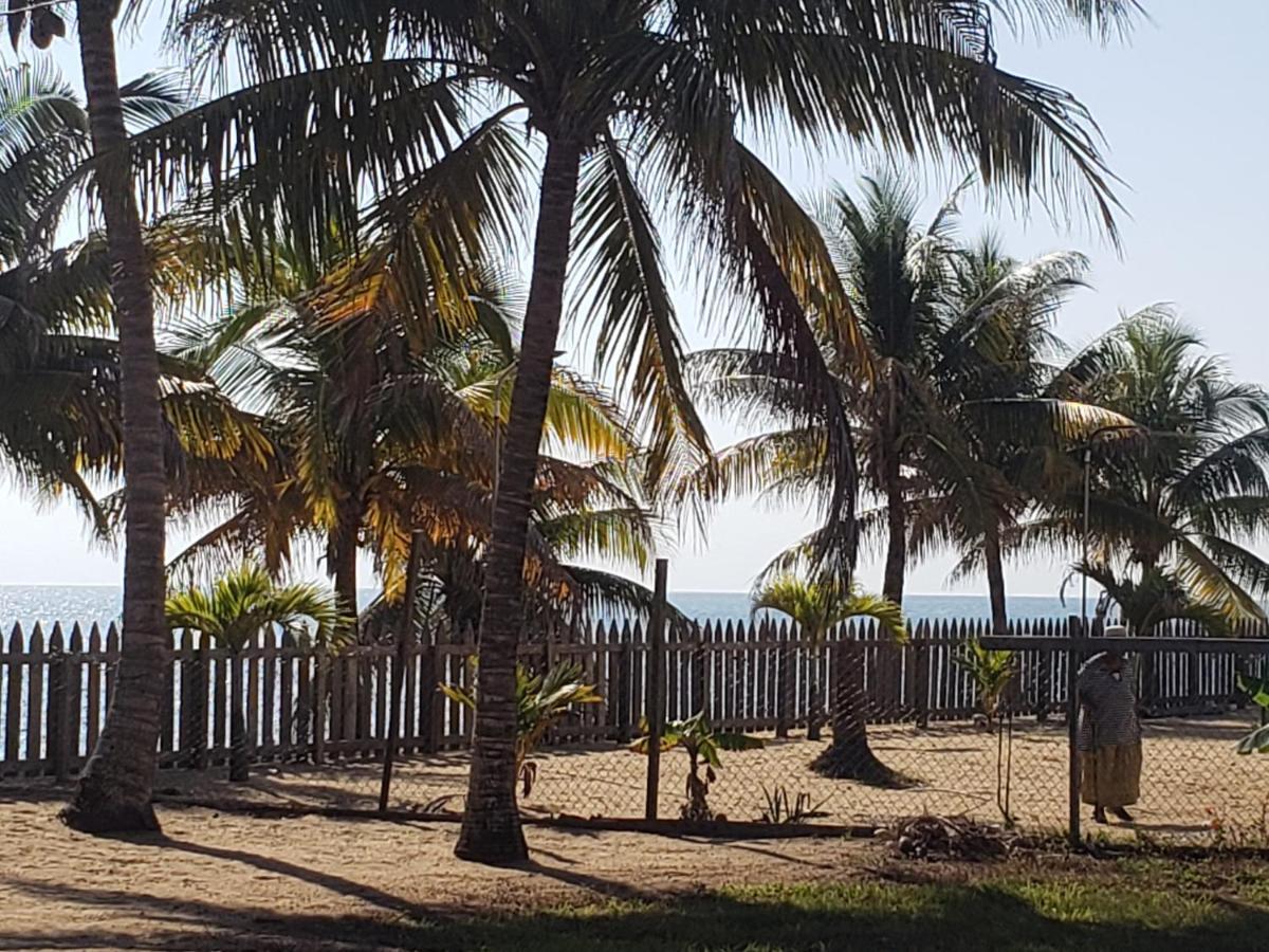 Pal'S On The Beach - Dangriga, Belize Kültér fotó